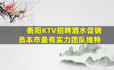 衡阳KTV招聘酒水促销员本市最有实力团队维特